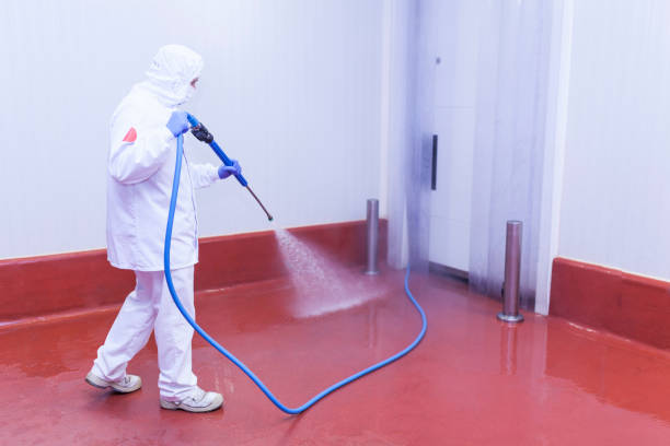 Trusted Massapequa Park, NY Pressure Washing Experts